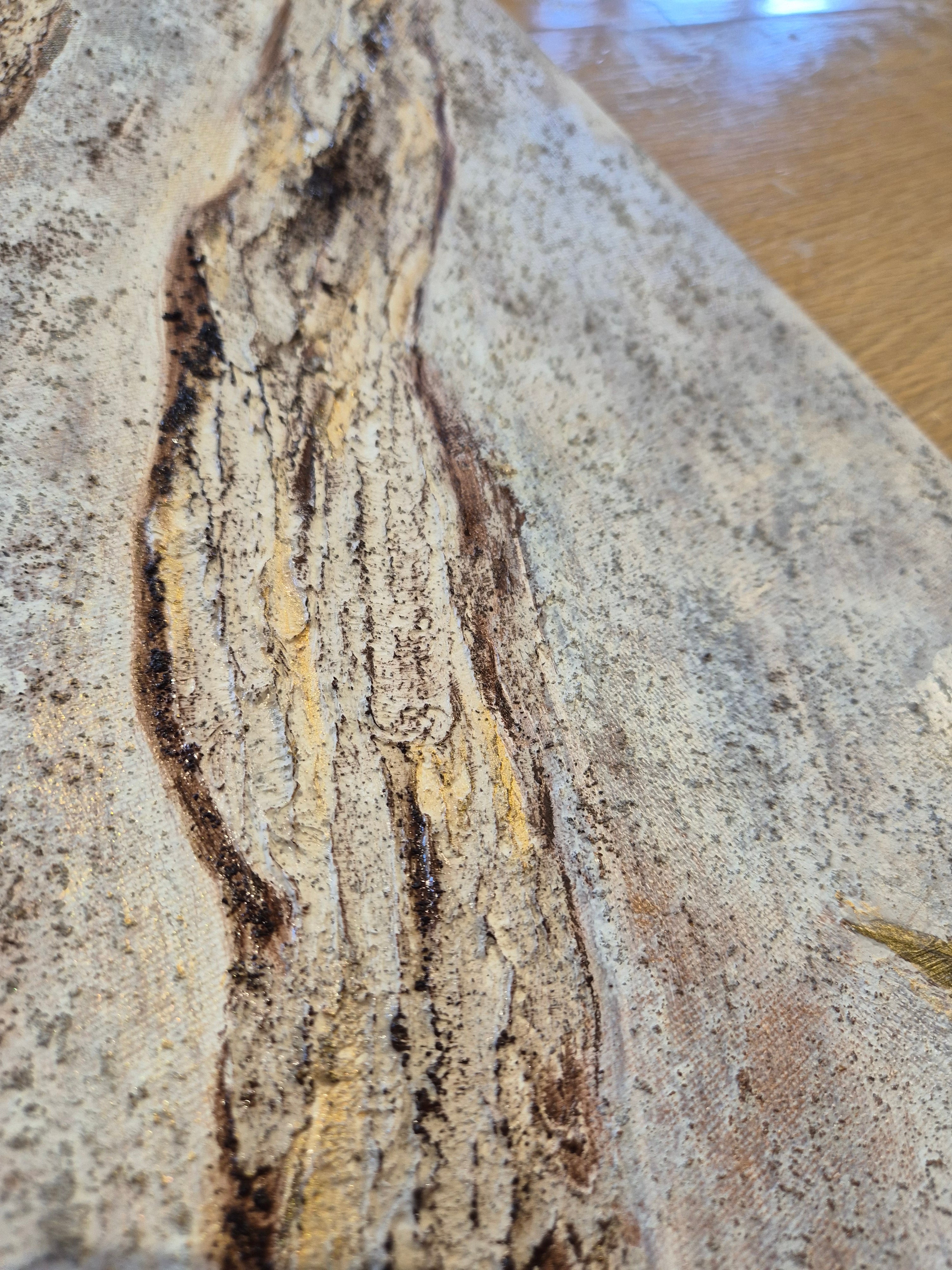 Framed Botanical Canvas – Ancient Bark, Original Textured Painting 50x60cm UK